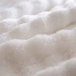  חורף בורדינון  לחברי מועדון