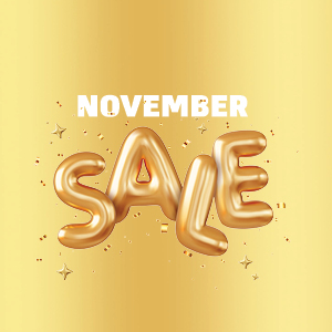 מבצעי נובמבר