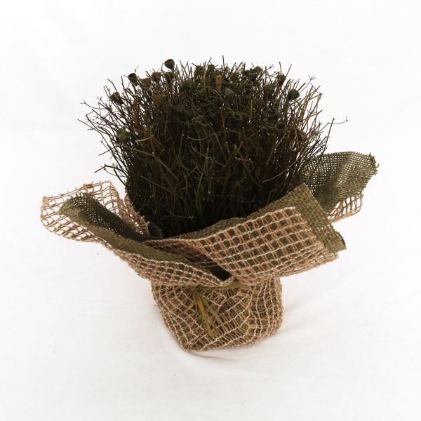 זר פרחים מיובשים - ירוק