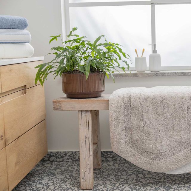 שטיחון אמבט כותנה דגם Soho