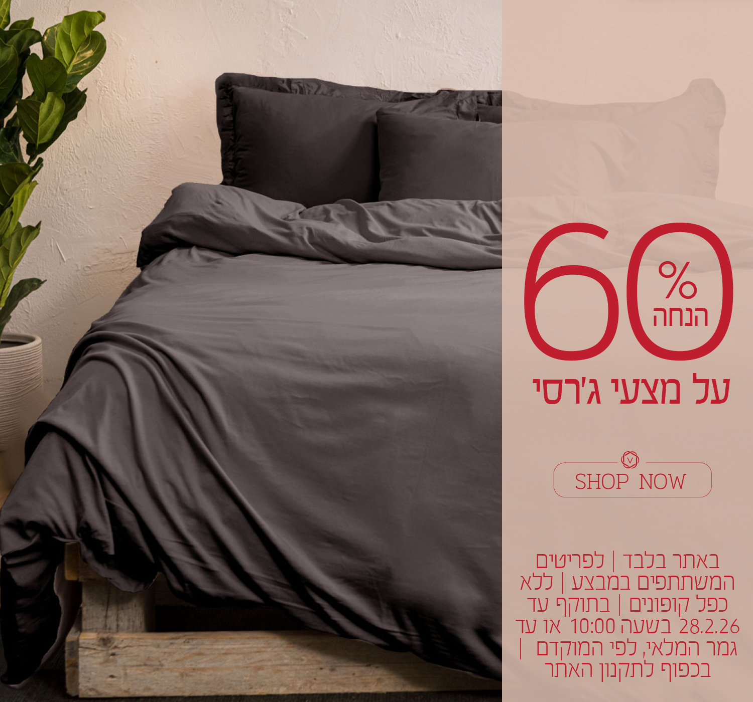 מצעי גרסי ב 60% הנחה! בכפוף לתקנון האתר